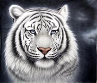wlk